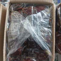 خرمای خاصه کارتن یک کیلویی|عمده‌فروشی|برازجان, |دیوار