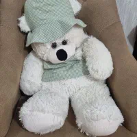 عروسک خرس پولیشی