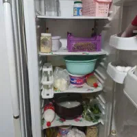 یخچال و فریزر دوقلو الکترو استیل|یخچال و فریزر|برخوار, |دیوار