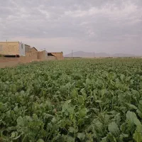 فروش زمین مسکونی