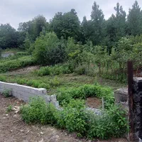 فروش زمین مسکونی سوادکوه شیرگاه( لفور)