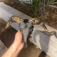 مجسمه|مجسمه، تندیس، ماکت|قم, شهرک امام حسن|دیوار