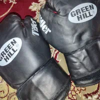 دستکش بوکس گرین هیل|تجهیزات ورزشی|شیراز, کوشک میدان|دیوار