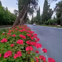 رهن کامل ویلا شهرک دریاکنار خیابان زوج تاپ لوکیشن