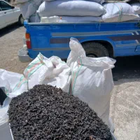 چای سرگل بهاره 1405