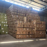 لایتنس ۵ستاره اصلی