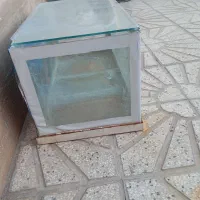 آکواریوم سالم|ماهی|قوچان, |دیوار