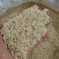 برنج درجه یک کلات( لایین نو)