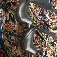 علم علامت حیوان