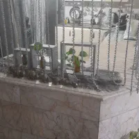 اجاره منزل