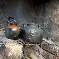 اجاره کلبه جنگلی با امکانات در جاده آبشار زیارت|اجارهٔ کوتاهمدت ویلا و باغ|گرگان, |دیوار