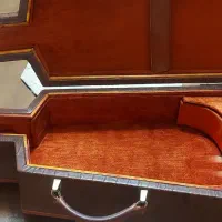 هارد کیس ویولن