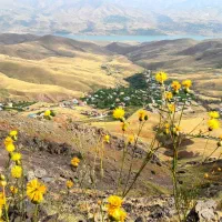 ۲۵۰ زمین حصارکشی شده با آب چشمه