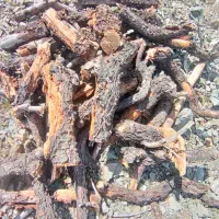 هیزم اتیشی سایز