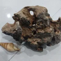 انواع سنگ آکواریوم