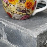 کاسه سوپخوری بادیس