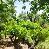 ۴۰۰ متر چهار دیواری|فروش زمین و ملک کلنگی|شهریار, رنگرز|دیوار