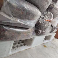 خرمای تخصصی آبگیری|عمده‌فروشی|تهران, قزل قلعه|دیوار