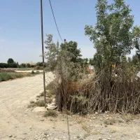 فروشی|فروش زمین و ملک کلنگی|اسلامشهر, کاشانک|دیوار