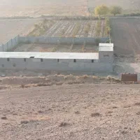 فروش دامداری|فروش دفتر صنعتی، کشاورزی، تجاری|آشخانه, |دیوار