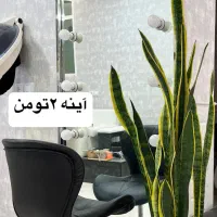 فروش فوری لوازم در حد نو|آرایشگاه و سالن‌های زیبایی|آران و بیدگل, |دیوار