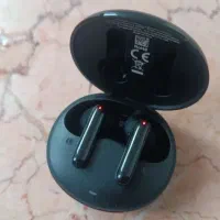 گوش چپ گمشده