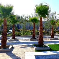 خدمات بنایی سنگ کارسرامیک کارسیمانکاردیوارچینی|خدمات پیشه و مهارت|کوهسار (البرز), |دیوار