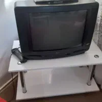 تلویزیون