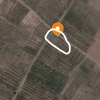 60قصب زمین پسته ای با نیم حبه آب کریم آباد علیا