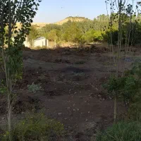 زمین باغ
