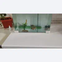 آکواریوم شیشه خم و وسائل