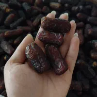 خرما پیارم هرمزگان|خوردنی و آشامیدنی|اهواز, کیانشهر|دیوار