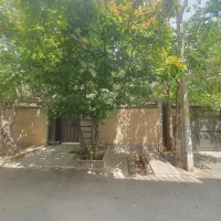 سه خوابه ۳۲۰ متری محمودیه چمران لوکس و استثنایی|اجارهٔ آپارتمان|شیراز, محمودیه|دیوار