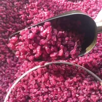زرشک پفکی زیر تالار