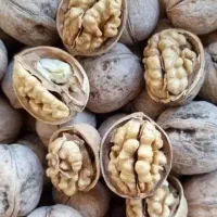 گردوی توسرکان