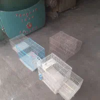 قفس ، قفس قناری ، قفس طوطی ، مرغ عشق|لوازم جانبی حیوانات|رباطکریم, نوده|دیوار