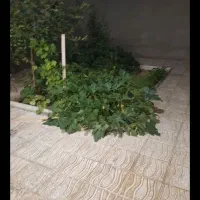 سجاس-خانه-ویلایی-2واحده