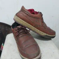 کفش چرم گاوی