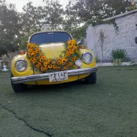 تالار|خدمات پذیرایی، مراسم|تبریز, |دیوار