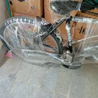 یک دستگاه دوچرخه آساک دماوند دنده ای