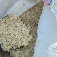 کاه کردستان درجه ۱