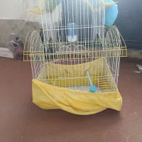 قفس پرنده|لوازم جانبی حیوانات|بهارستان, |دیوار