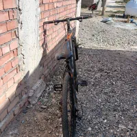 دوچرخه ۲۶|دوچرخه، اسکیت، اسکوتر|قلعه گنج, |دیوار