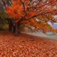 راهنمایی کنید