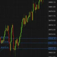 آموزش تخصصی  فارکس ارز دیجیتال از پایه تا حرفهای|خدمات آموزشی|قم, حاج زینل|دیوار