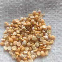 لپه درجه ۲|عمدهفروشی|آذرشهر, |دیوار