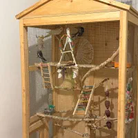 قفس بزرگ عروس هلندی