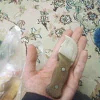 چاقو کپوری|کوهنوردی و کمپینگ|شاهین‌شهر, شهرک گلدیس|دیوار