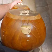 تار حرفه ای