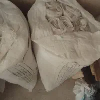 گونی آردی